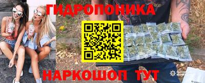 молекула духа Партизанск