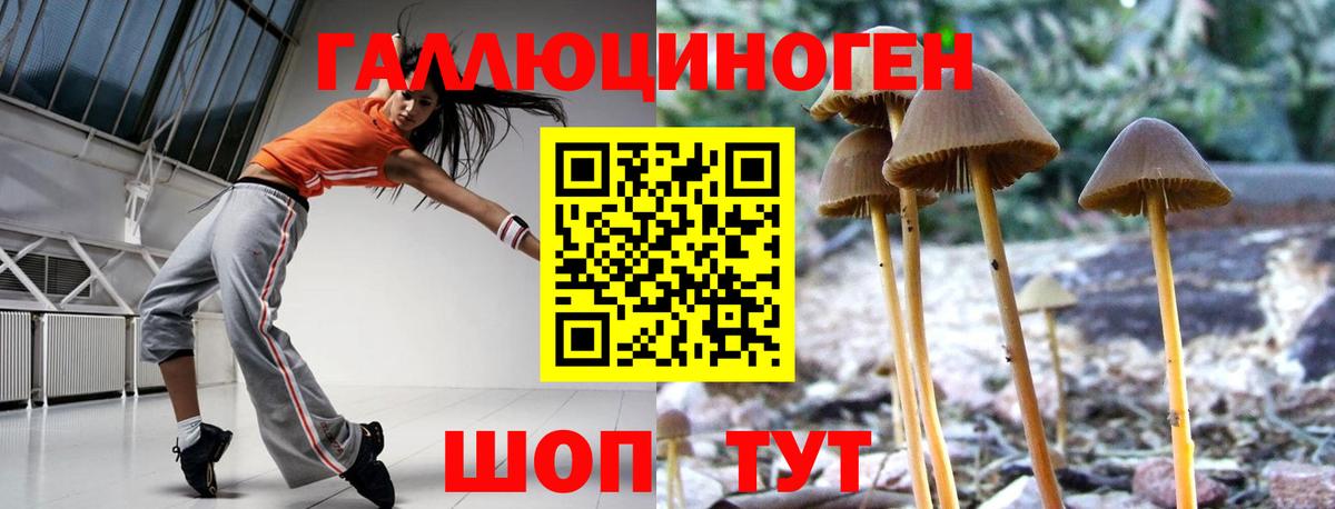 Псилоцибиновые грибы MAGIC MUSHROOMS  Вход с VPN  хочу   Севастополь 